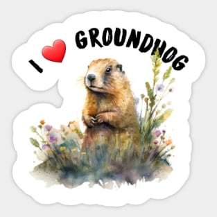 I love groundhog Sticker